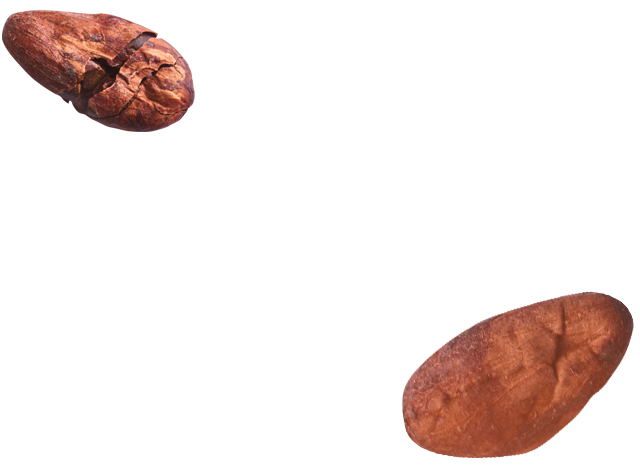 Promise Cocoa