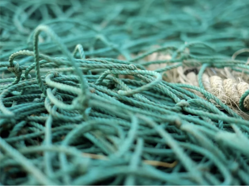 Sedna fishing nets
