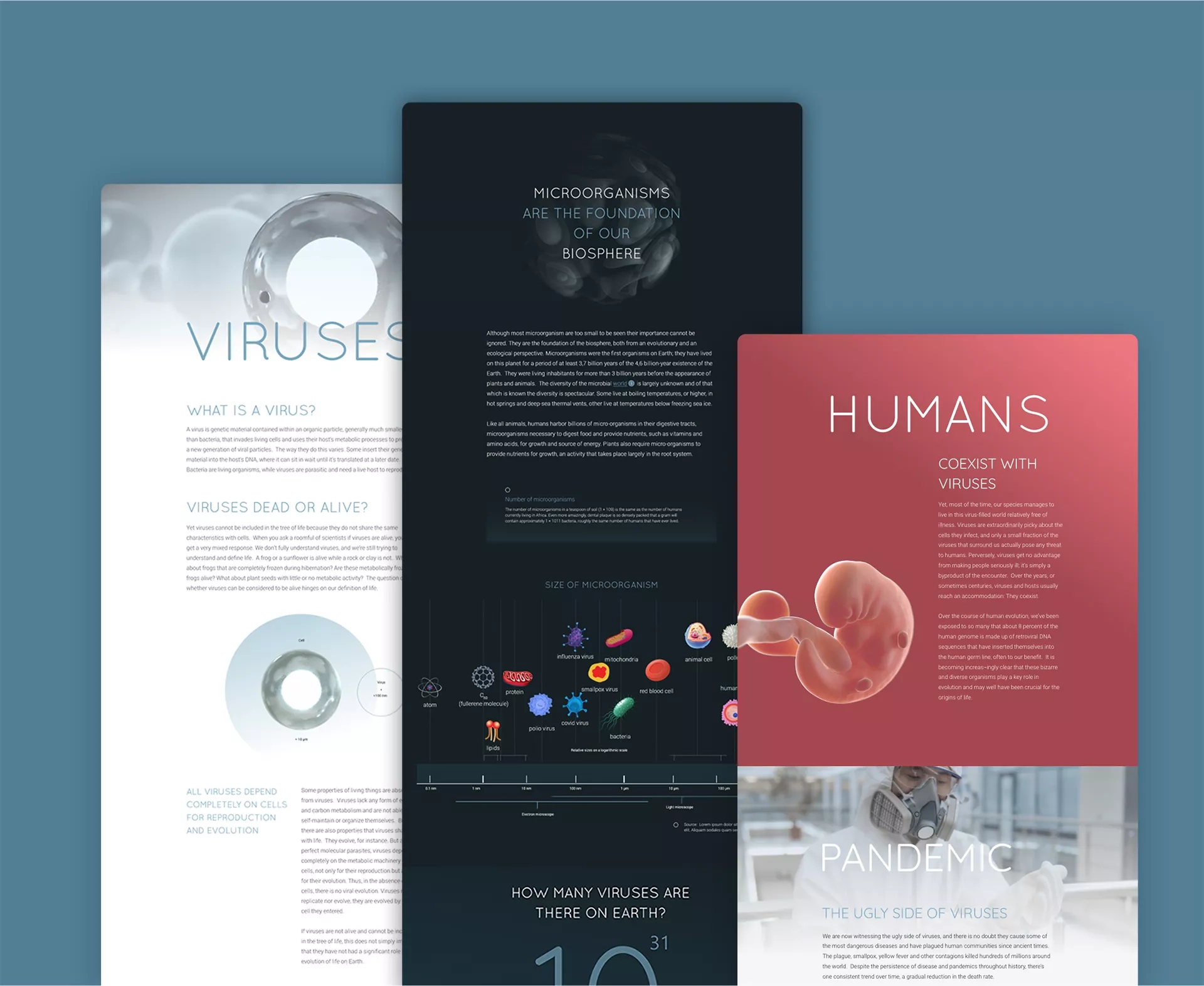 Planet Virus - Website